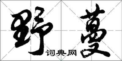 胡問遂野蔓行書怎么寫