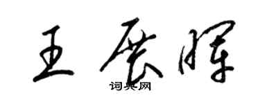 梁錦英王展暉草書個性簽名怎么寫