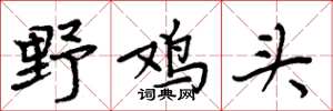 周炳元野雞頭楷書怎么寫
