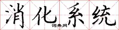 丁謙消化系統楷書怎么寫