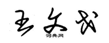 朱錫榮王文戈草書個性簽名怎么寫