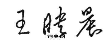 駱恆光王映晨草書個性簽名怎么寫