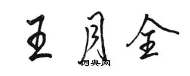 駱恆光王月全行書個性簽名怎么寫