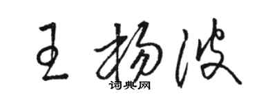 駱恆光王楊波草書個性簽名怎么寫
