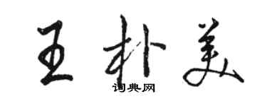 駱恆光王朴美行書個性簽名怎么寫