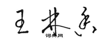 駱恆光王林香草書個性簽名怎么寫