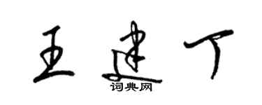 梁錦英王建丁草書個性簽名怎么寫