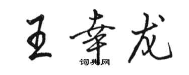 駱恆光王幸龍行書個性簽名怎么寫