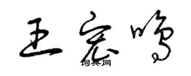 曾慶福王宏鳴草書個性簽名怎么寫