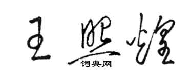 駱恆光王照煌草書個性簽名怎么寫