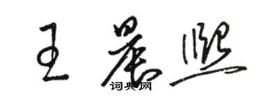 駱恆光王晨熙草書個性簽名怎么寫