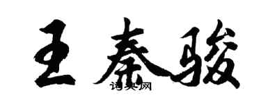 胡問遂王秦駿行書個性簽名怎么寫