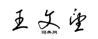 梁錦英王文望草書個性簽名怎么寫