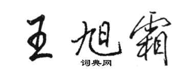 駱恆光王旭霜行書個性簽名怎么寫