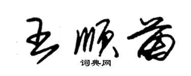 朱錫榮王順苗草書個性簽名怎么寫