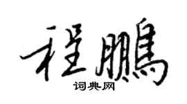 王正良程鵬行書個性簽名怎么寫