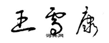 曾慶福王雪康草書個性簽名怎么寫