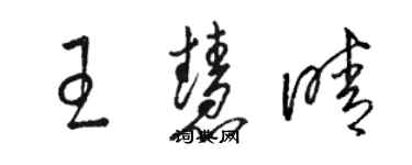 駱恆光王慧晴草書個性簽名怎么寫