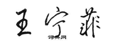 駱恆光王寧菲行書個性簽名怎么寫