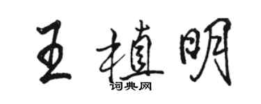 駱恆光王植明行書個性簽名怎么寫