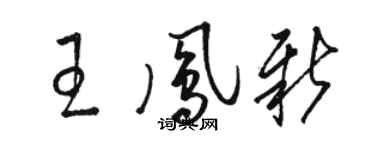 駱恆光王鳳新草書個性簽名怎么寫