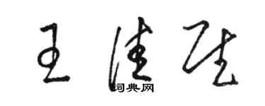 駱恆光王佳慰草書個性簽名怎么寫