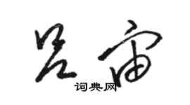 駱恆光呂宙草書個性簽名怎么寫