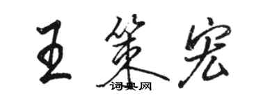 駱恆光王策宏行書個性簽名怎么寫