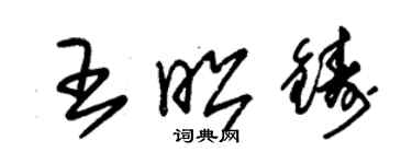 朱錫榮王昭鑄草書個性簽名怎么寫