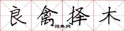 袁強良禽擇木楷書怎么寫