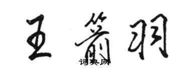 駱恆光王箭羽行書個性簽名怎么寫