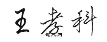 駱恆光王孝科行書個性簽名怎么寫