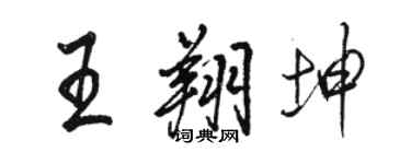 駱恆光王翔坤行書個性簽名怎么寫