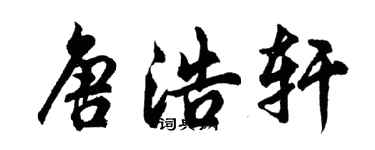 胡問遂唐浩軒行書個性簽名怎么寫