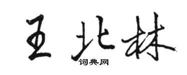 駱恆光王北林行書個性簽名怎么寫