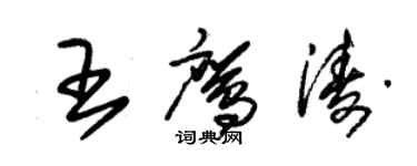 朱錫榮王鷹濤草書個性簽名怎么寫