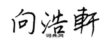 王正良向浩軒行書個性簽名怎么寫