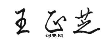 駱恆光王正芝行書個性簽名怎么寫