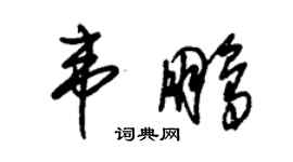 朱錫榮韋鵬草書個性簽名怎么寫