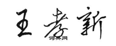 駱恆光王孝新行書個性簽名怎么寫