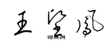 梁錦英王堅鳳草書個性簽名怎么寫