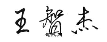 駱恆光王智傑行書個性簽名怎么寫