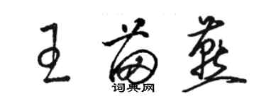 駱恆光王苗燕草書個性簽名怎么寫