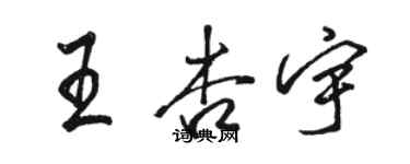 駱恆光王杏宇行書個性簽名怎么寫