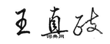 駱恆光王直政行書個性簽名怎么寫