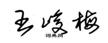 朱錫榮王峻梅草書個性簽名怎么寫