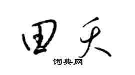 梁錦英田夭草書個性簽名怎么寫