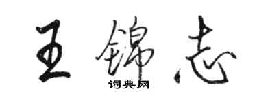 駱恆光王錦志行書個性簽名怎么寫