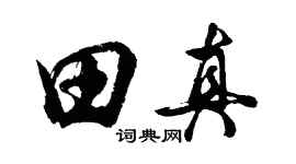 胡問遂田真行書個性簽名怎么寫