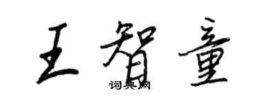 王正良王智童行書個性簽名怎么寫